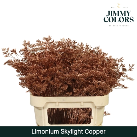 <h4>Limonium skylight paint copper</h4>