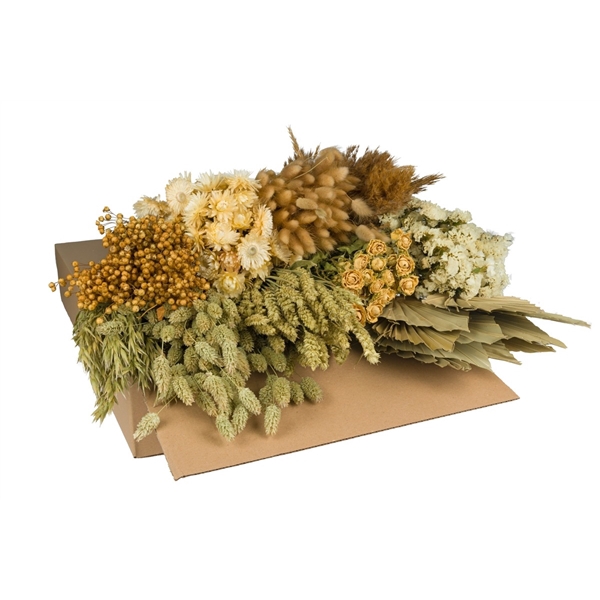 <h4>Droogbloemen-Dried Flowers Mix Box-50-60cm-Natural</h4>