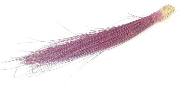Beargrass per bunch lgt 70cm Purple