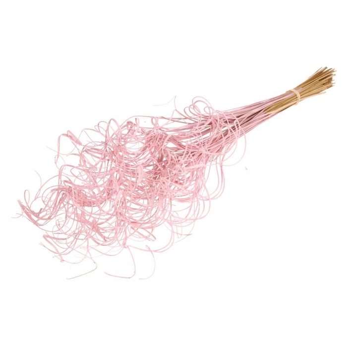 <h4>Curly ting ting (palm) 100pc SB pink misty</h4>
