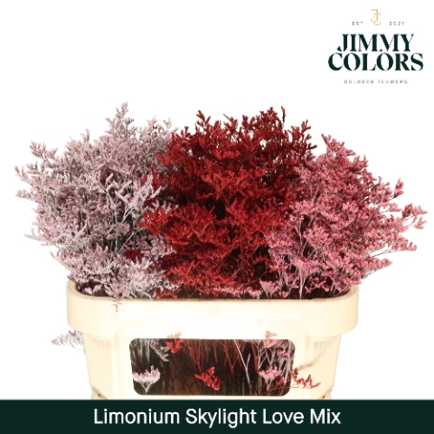 <h4>Limonium Skylight L80 Love Mix</h4>