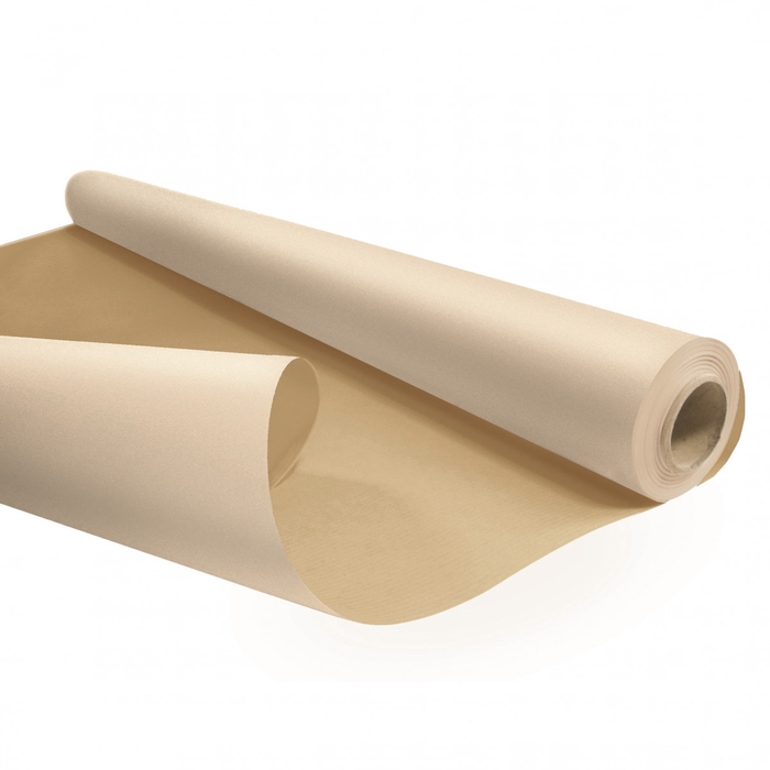 <h4>Paper Roll 80cm 25m Eco waterp.</h4>