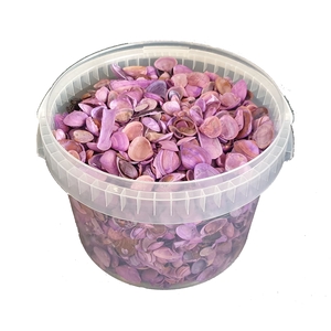 Shells north sea 3 ltr Frosted Purple