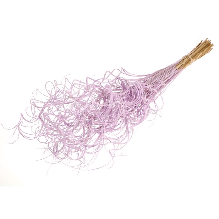 <h4>Curly ting ting (palm) 100pc lilac misty</h4>