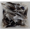 Feathers Duck 45g