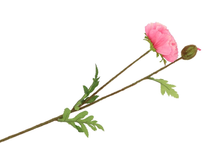 <h4>Silk Papaver Branche Rose L64cm</h4>