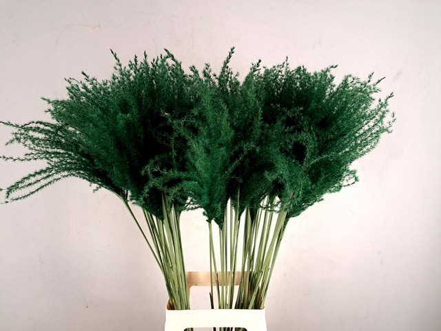 Dried miscanthus paint mosgreen