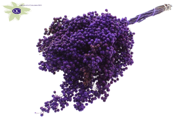 <h4>Pepperberries per bunch in poly purple</h4>