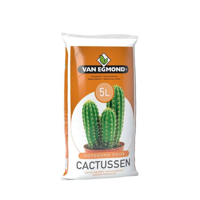 <h4>Cactus soil 5 liter</h4>