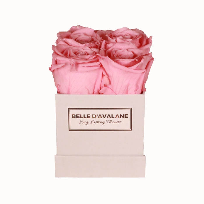 Box vk 10cm wit-roze