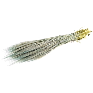 DRIED FLOWERS - HORDEUM FROSTED LIGHT BLUE