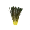 Feather Peacock L90-100 Naturel Yellow