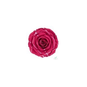 PRESERVED ROSES XL FESTIVAL PIN-03