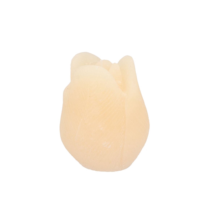 <h4>Candle Tulip Ivory 9x11cm</h4>