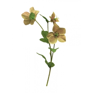SILK FLOWERS - HELLEBORUS MONICA PINK-GREEN 40CM