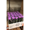 R PR Amorosa Mini Bright Lilac