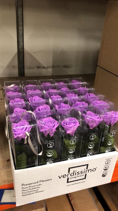R PR Amorosa Mini Bright Lilac