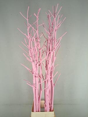 <h4>Ferule kapstok light pink</h4>