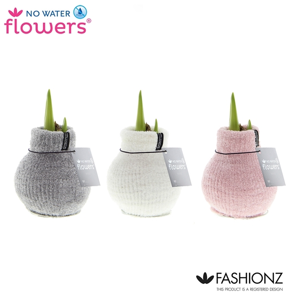 <h4>No Water Flowers® Fashionz Cozy Fluffy</h4>