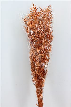 <h4>Dried Ruscus Nat Copper Glitter</h4>