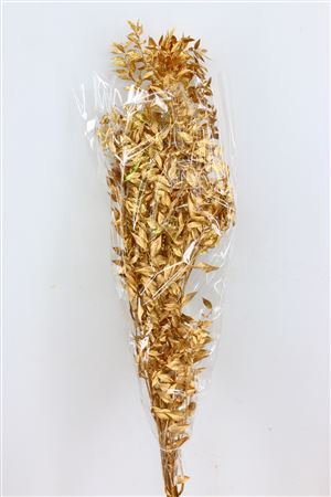 <h4>Dried Ruscus Nat Antique Gold Glitter</h4>