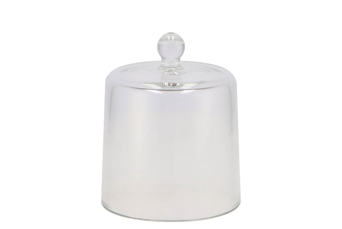 Bell Jar 11x13cm For Birch Slice (620766)