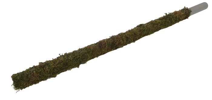 <h4>Tube 30mm with green moss 80cm p pc natural</h4>