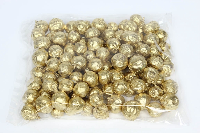 Estrelinia 500gr in poly gold