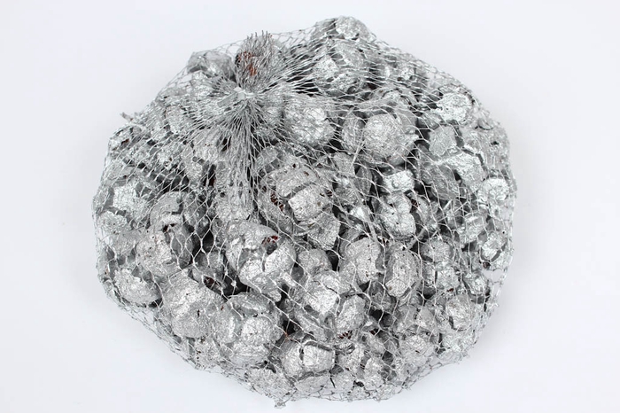Cupressus 500gram in net Silver