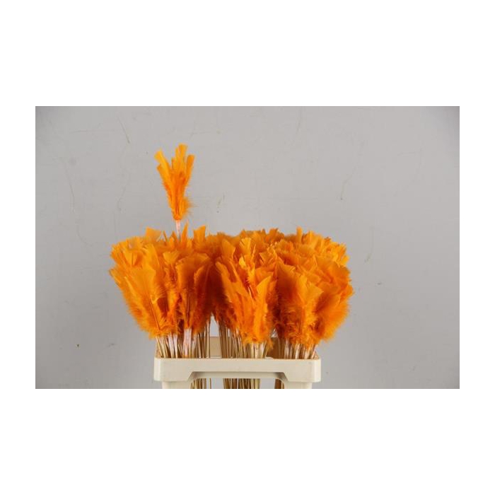 <h4>Stick Feather Orange 14cm</h4>