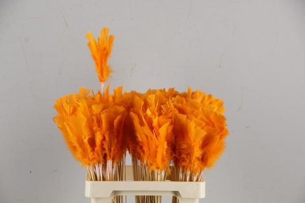 Stick Feather Orange 14cm