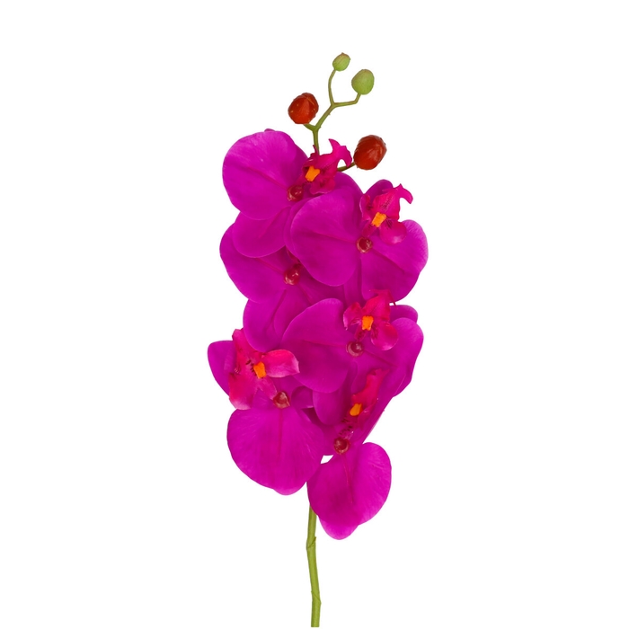 <h4>Artificial flowers Phalaenopsis 68cm</h4>