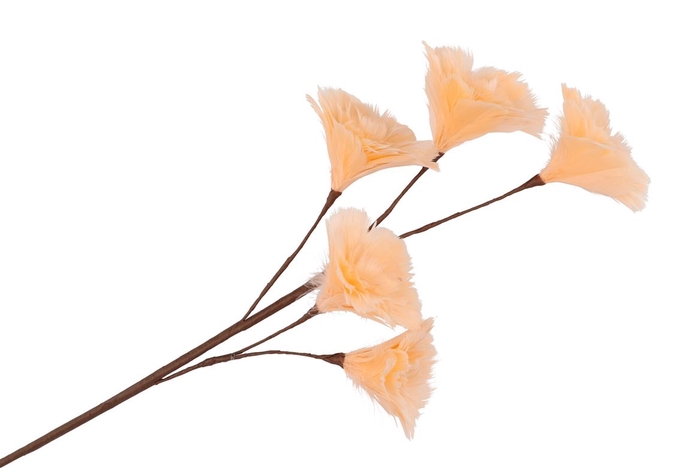 <h4>Silk Feather Flower Peach 5 Op Steel 85cm Nm</h4>