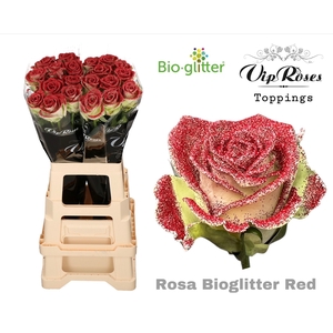 Rosa la paint bio glitter red