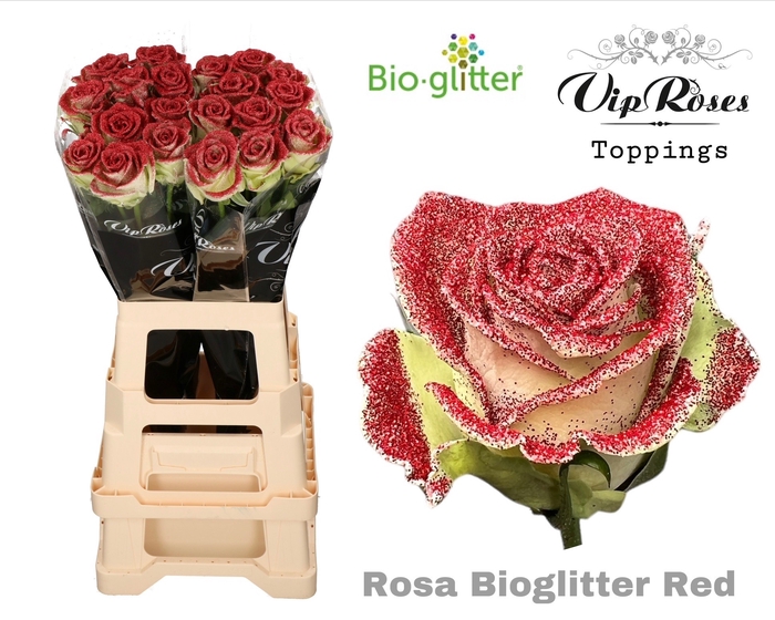 Rosa la paint bio glitter red