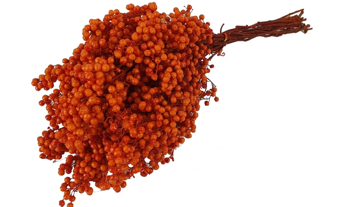 <h4>Pepperberries per bunch in poly orange</h4>