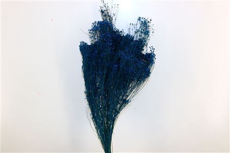 <h4>Dried Broom Bloom Blue Bunch Poly</h4>