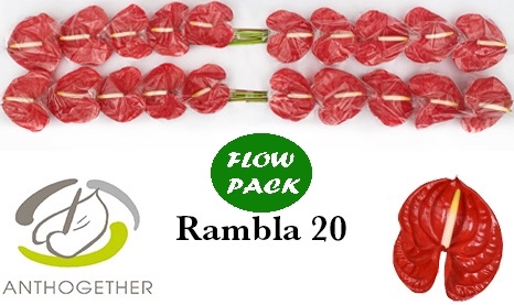 <h4>ANTH A RAMBLA 20 Flow Pack</h4>