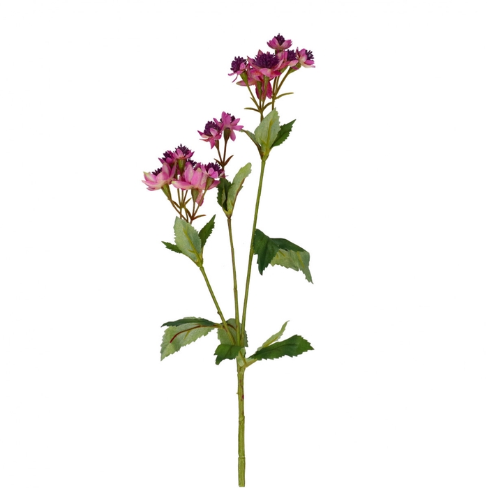 Artificial flowers Astrantia 50cm