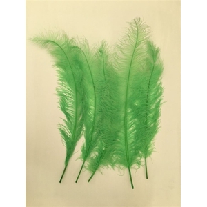 Feathers Ostrich 5 Pcs Lime Green