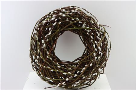 <h4>WR PUSSY WILLOW 45CM DRIED</h4>