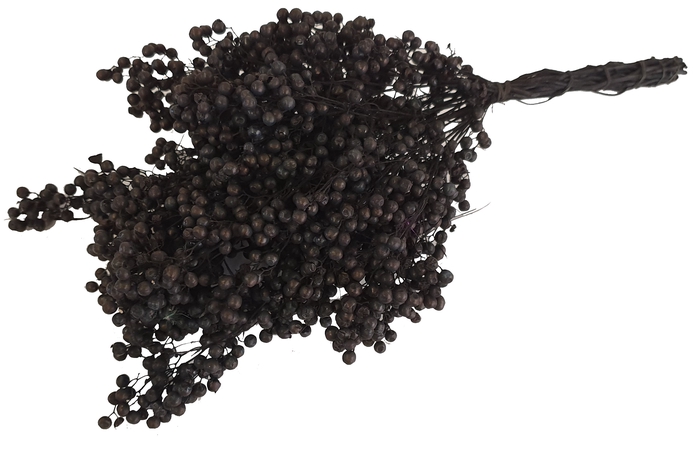 Pepperberries per bunch in poly Black