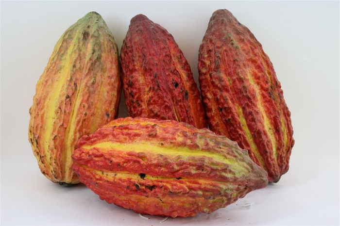 <h4>Cacao Pods Ass (mg)</h4>