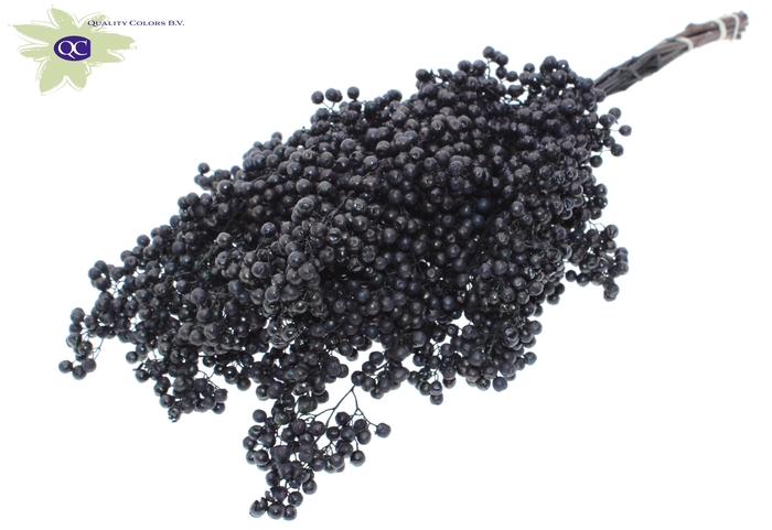 <h4>Pepperberries per bunch in poly black + glitter</h4>