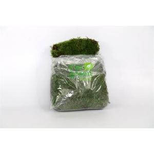 Moss flat recyclable plastic bag