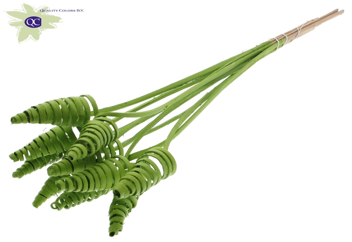 Cane Cone on stem Covered Light Green