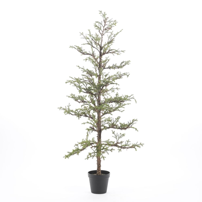 <h4>Af Larix Tree Pot 167cm</h4>