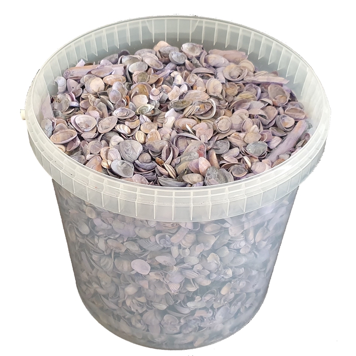 Shells north sea 10 ltr frosted milka