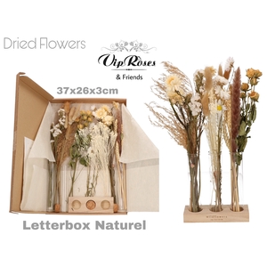 DRIED LETTERBOX NATUREL TUBES