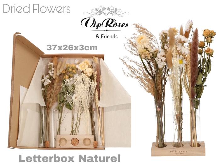 DRIED LETTERBOX NATUREL TUBES